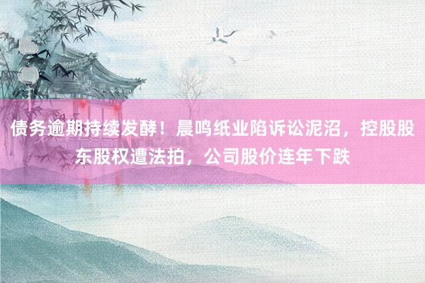 债务逾期持续发酵！晨鸣纸业陷诉讼泥沼，控股股东股权遭法拍，公司股价连年下跌