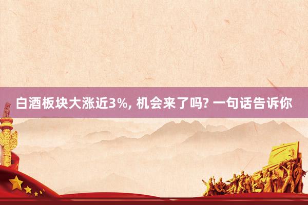 白酒板块大涨近3%, 机会来了吗? 一句话告诉你