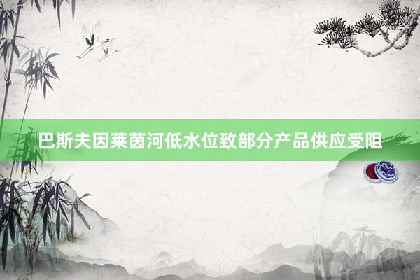 巴斯夫因莱茵河低水位致部分产品供应受阻
