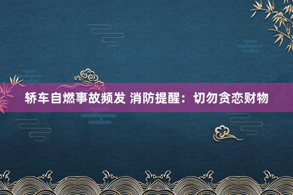 轿车自燃事故频发 消防提醒：切勿贪恋财物