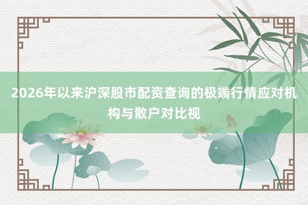 2026年以来沪深股市配资查询的极端行情应对机构与散户对比视