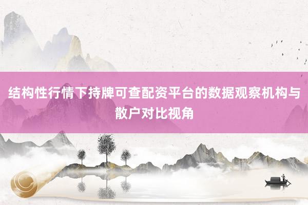 结构性行情下持牌可查配资平台的数据观察机构与散户对比视角