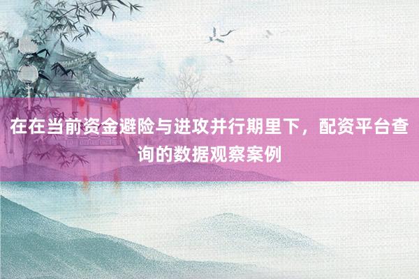 在在当前资金避险与进攻并行期里下,配资平台查询的数据观察案例