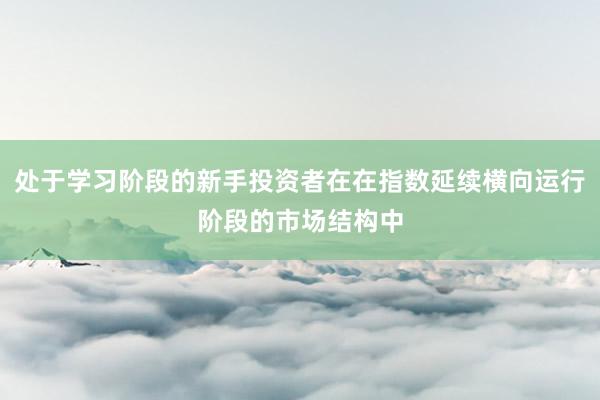 处于学习阶段的新手投资者在在指数延续横向运行阶段的市场结构中