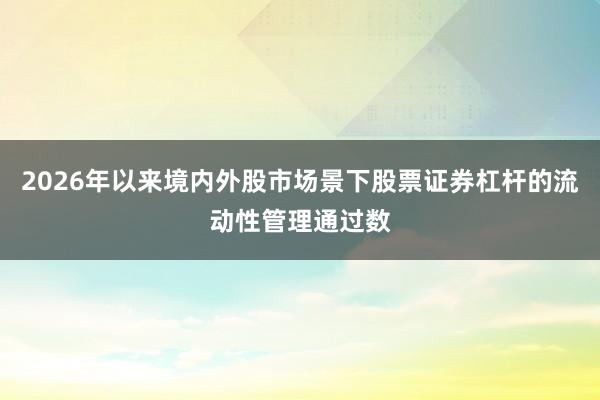 2026年以来境内外股市场景下股票证券杠杆的流动性管理通过数