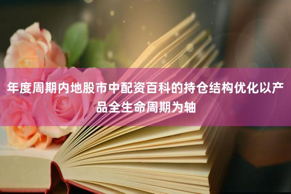年度周期内地股市中配资百科的持仓结构优化以产品全生命周期为轴