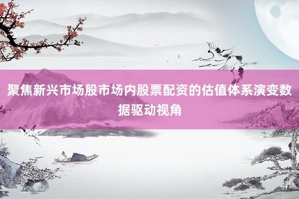 聚焦新兴市场股市场内股票配资的估值体系演变数据驱动视角