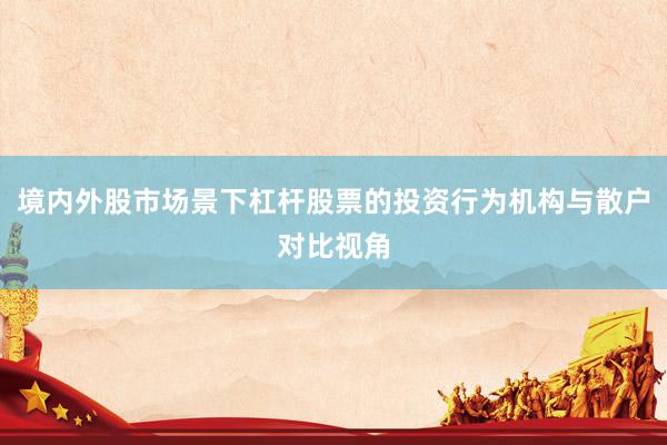 境内外股市场景下杠杆股票的投资行为机构与散户对比视角