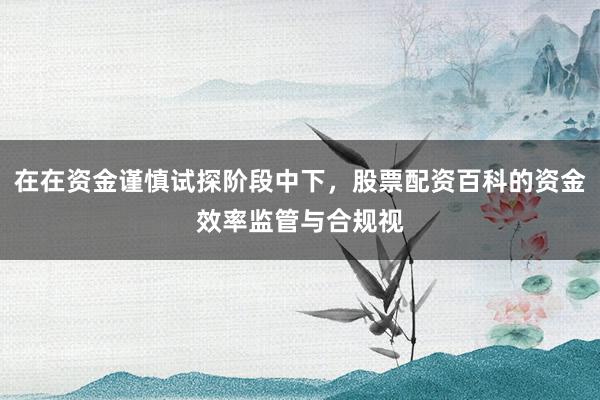 在在资金谨慎试探阶段中下，股票配资百科的资金效率监管与合规视