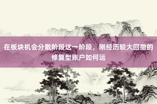 在板块机会分散阶段这一阶段，刚经历较大回撤的修复型账户如何运