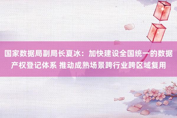 国家数据局副局长夏冰：加快建设全国统一的数据产权登记体系 推动成熟场景跨行业跨区域复用