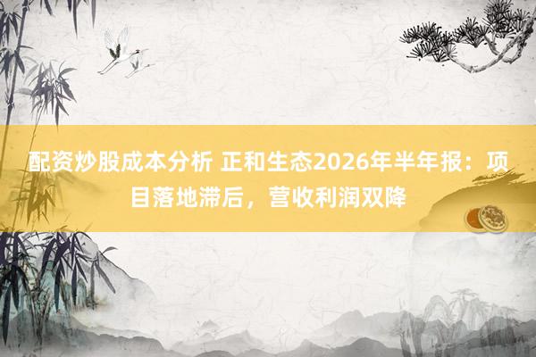 配资炒股成本分析 正和生态2026年半年报：项目落地滞后，营收利润双降