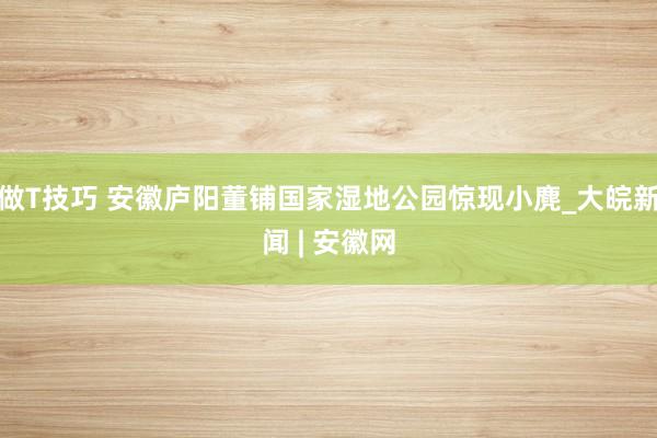 做T技巧 安徽庐阳董铺国家湿地公园惊现小麂_大皖新闻 | 安徽网