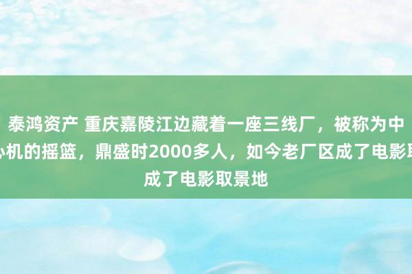 泰鸿资产 重庆嘉陵江边藏着一座三线厂，被称为中国离心机的摇篮，鼎盛时2000多人，如今老厂区成了电影取景地