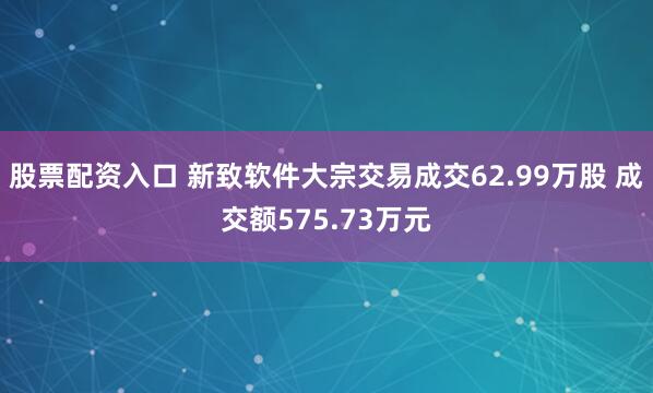股票配资入口 新致软件大宗交易成交62.99万股 成交额575.73万元