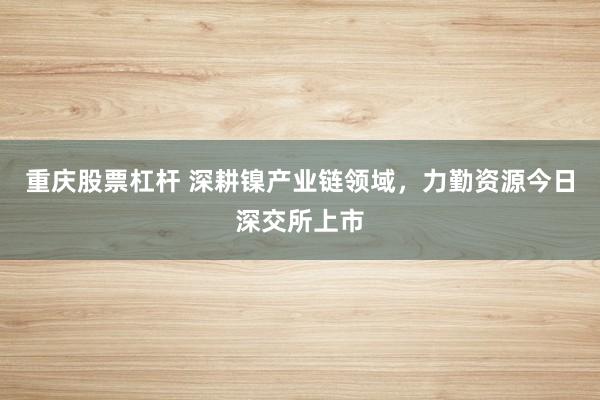 重庆股票杠杆 深耕镍产业链领域，力勤资源今日深交所上市