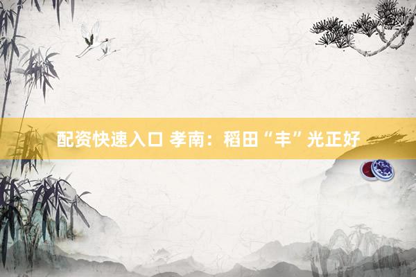 配资快速入口 孝南：稻田“丰”光正好