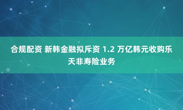 合规配资 新韩金融拟斥资 1.2 万亿韩元收购乐天非寿险业务