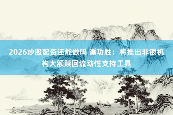 2026炒股配资还能做吗 潘功胜：将推出非银机构大额赎回流动性支持工具