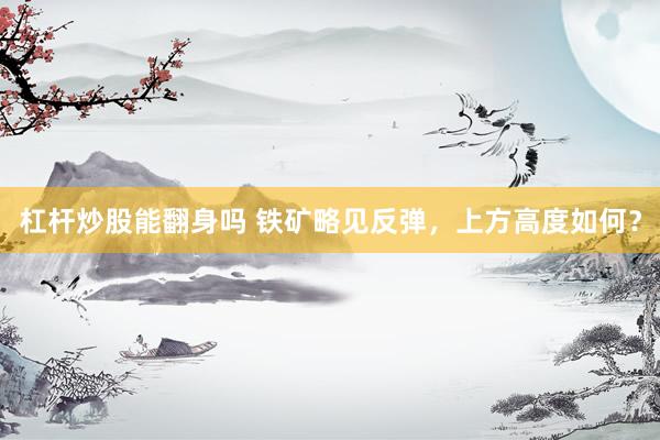 杠杆炒股能翻身吗 铁矿略见反弹，上方高度如何？