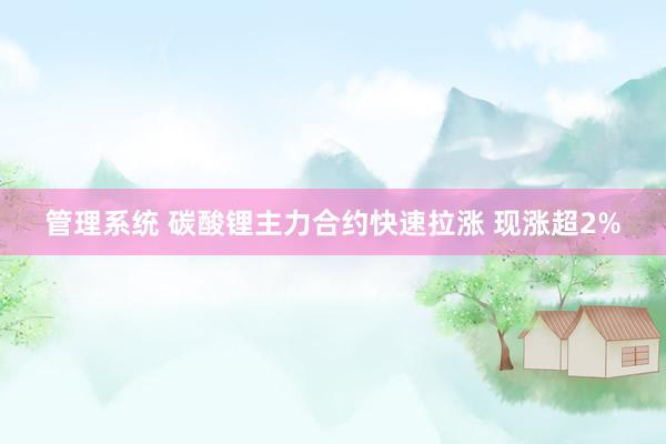 管理系统 碳酸锂主力合约快速拉涨 现涨超2%